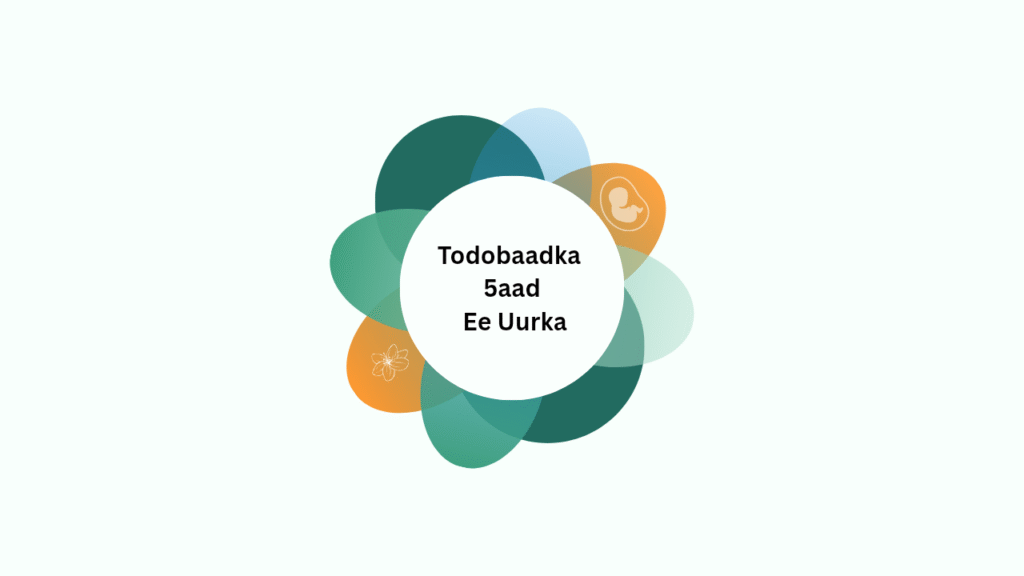 Toddobaadka 5aad ee uurka