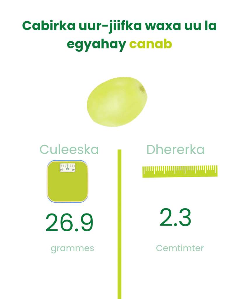 Cabirka todobaadka 9aad ee uurka