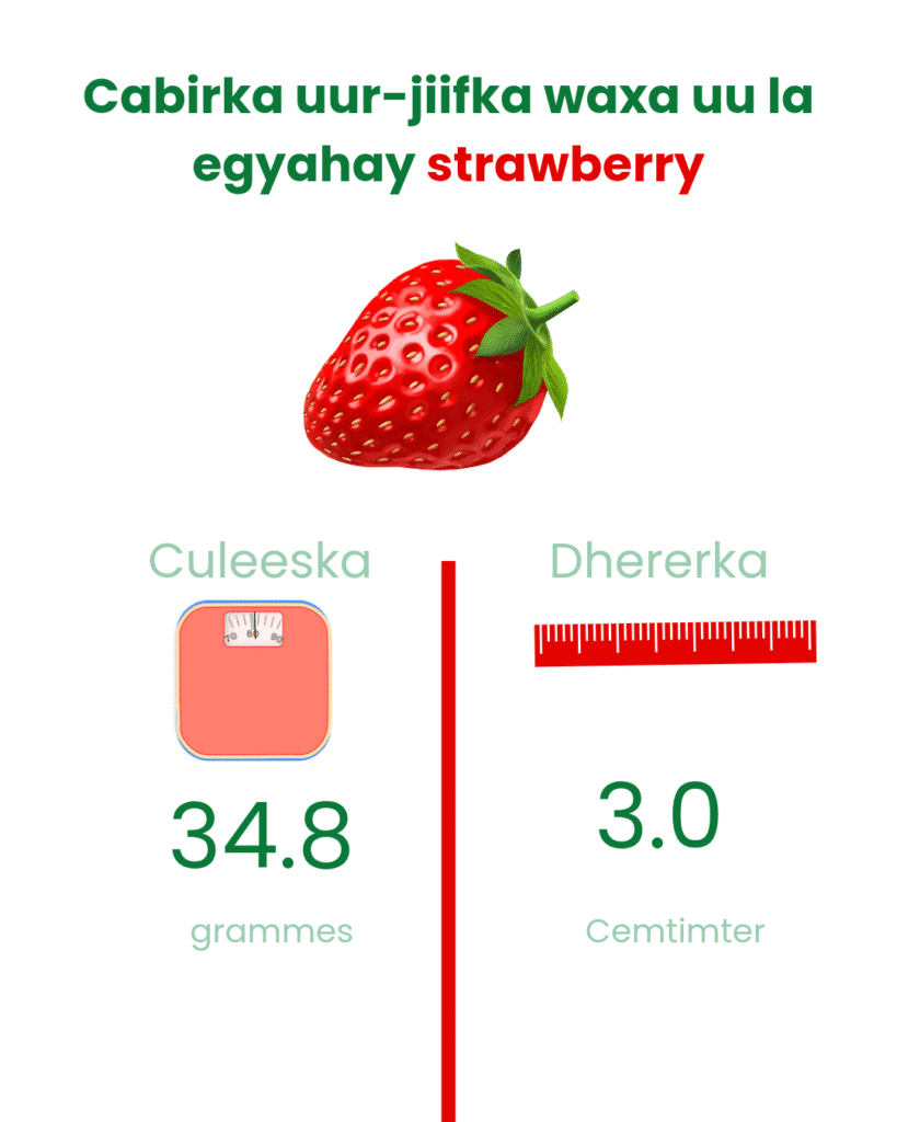 Cabirka todobaadka 10aad ee uurka