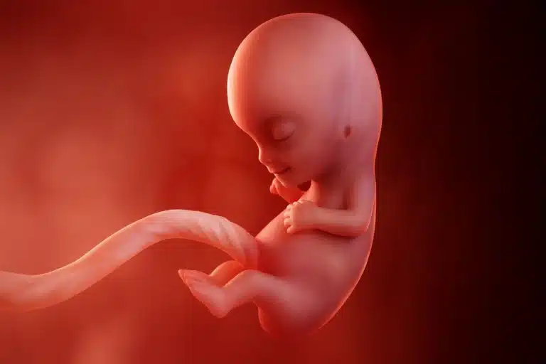 Todobaadka 9aad ee Uurka