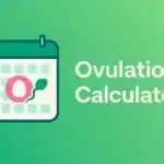 Ovulation Calculator: