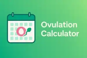 Ovulation Calculator: