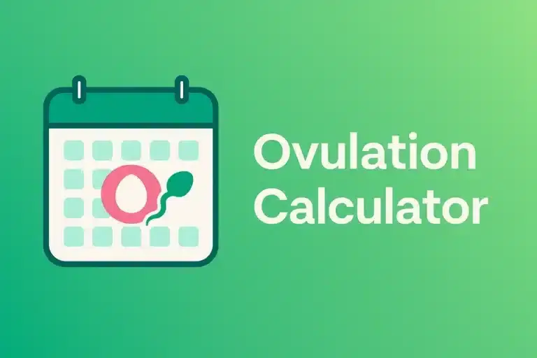 Ovulation Calculator: