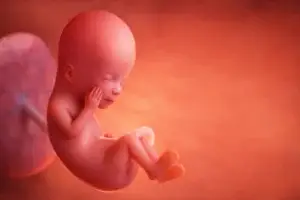 Todobaadka 12aad ee Uurka