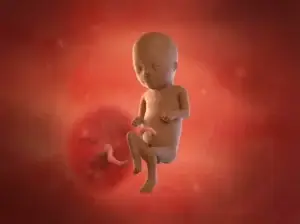 Todobaadka 17aad ee uurka