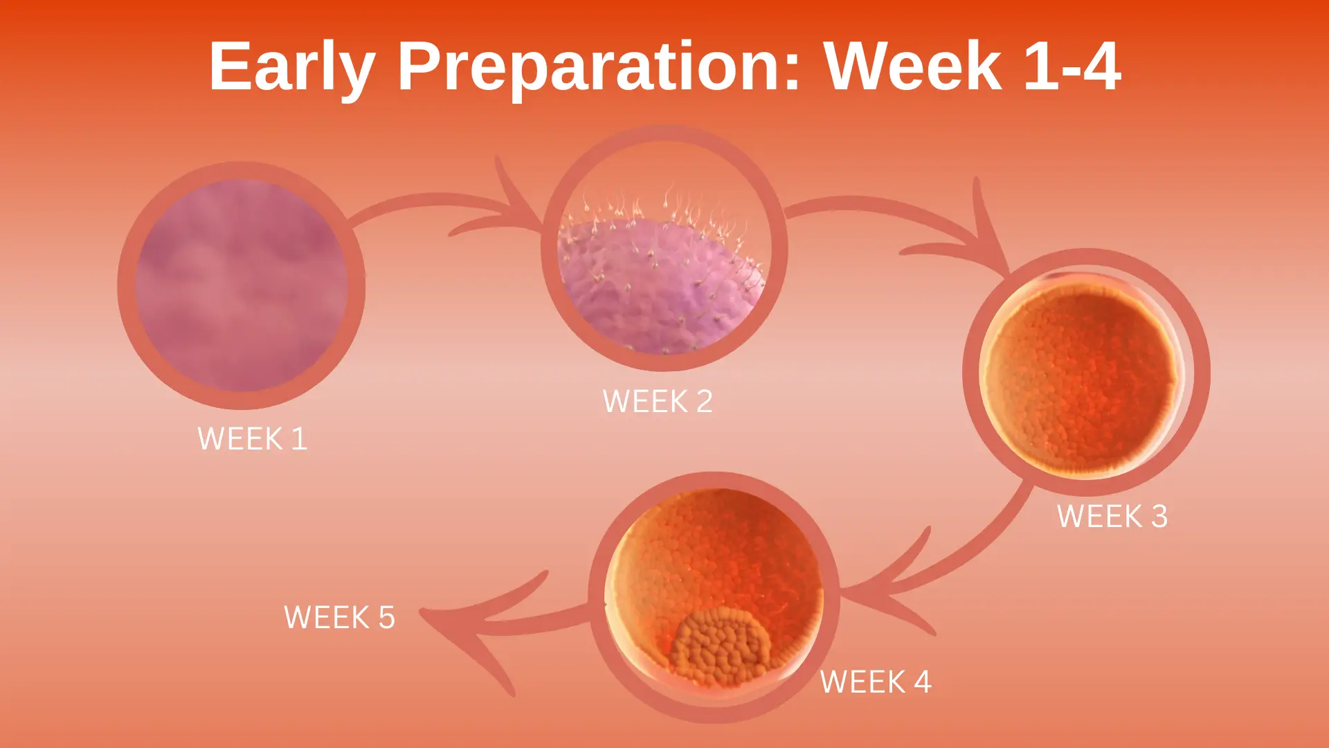 week 1-4